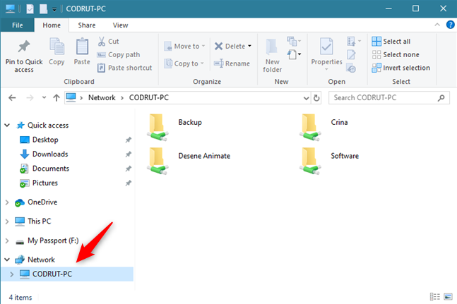 file exporer displaying shared folders