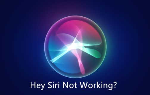 hey siri not working